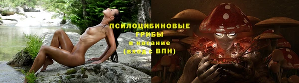 тгк Алексеевка