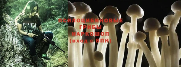прущий лед Алексин