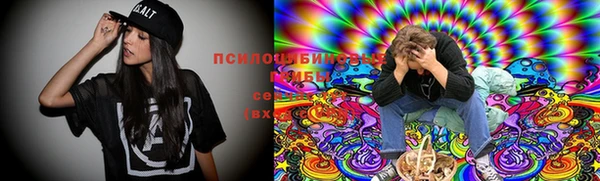 прущий лед Алексин