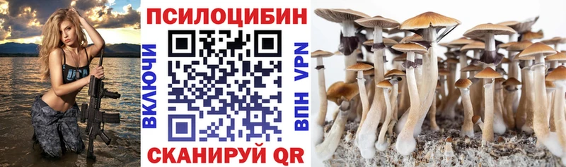 Псилоцибиновые грибы MAGIC MUSHROOMS  Елизово 
